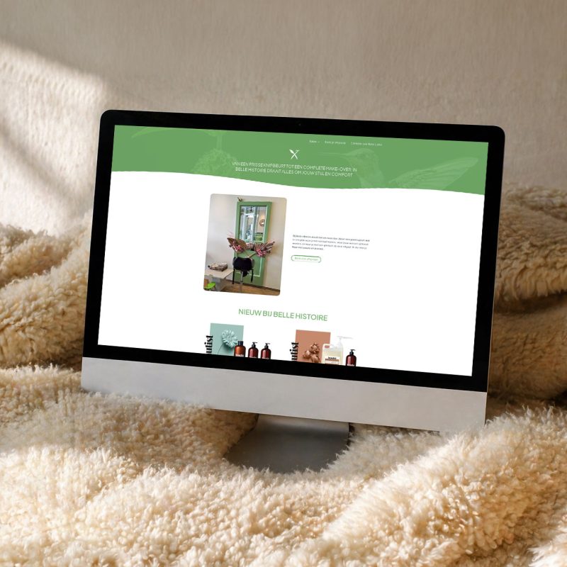 Website design for Belle Histoire/ Belle Laine